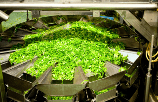 Máquinas de procesamiento de alimentos: claves y mantenimiento esencial