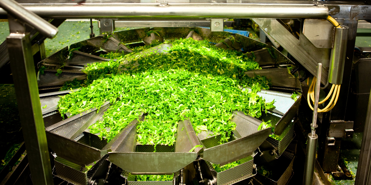 Máquinas de procesamiento de alimentos: claves y mantenimiento esencial
